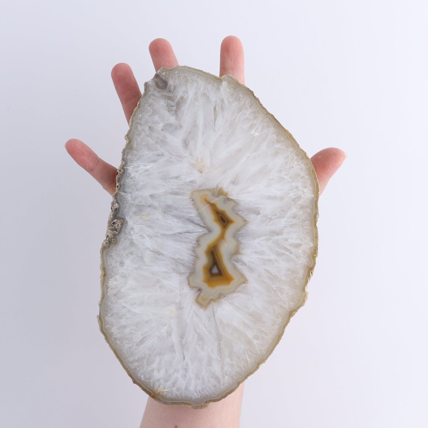Agate Slices Set of 4 | Mi Esperanza Minerals | Supplier of Crystals and Onyx
