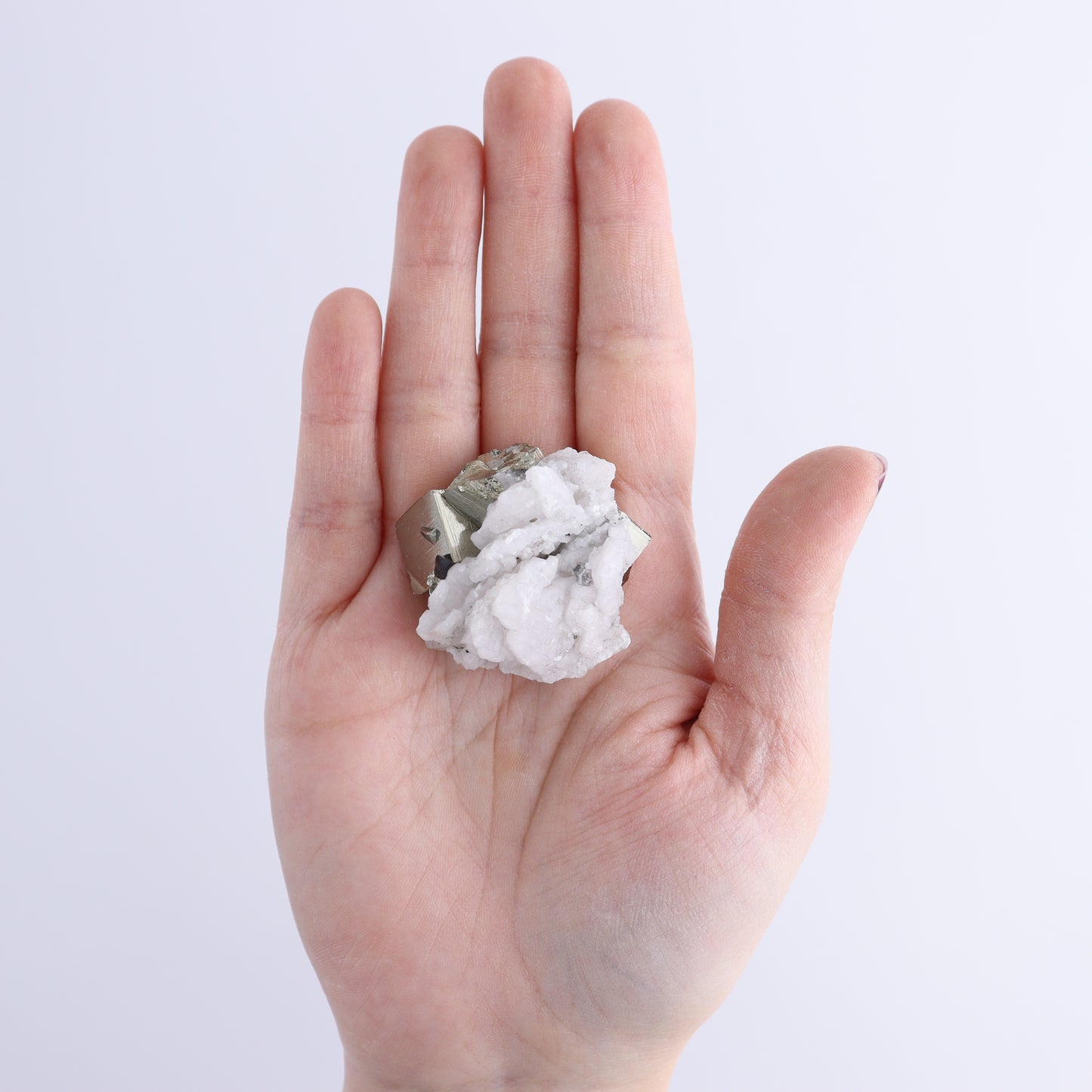 Quartz on Pyrite Set of 12 | Mi Esperanza Minerals | Supplier of Crystals and Onyx