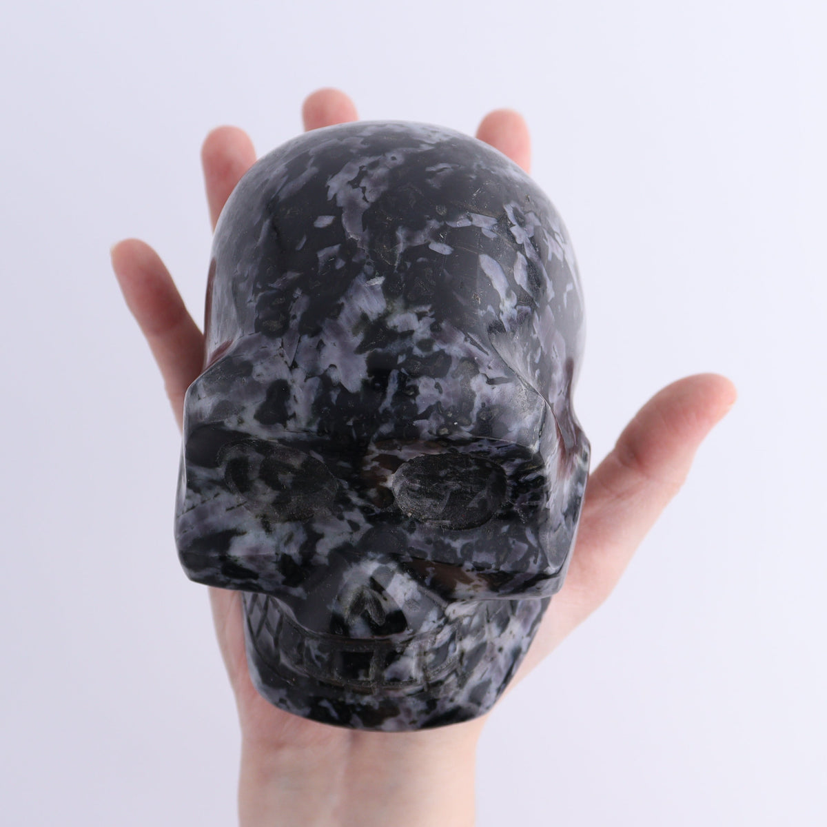 Indigo Gabbro Skull | Mi Esperanza Minerals | Supplier of Crystals and Onyx