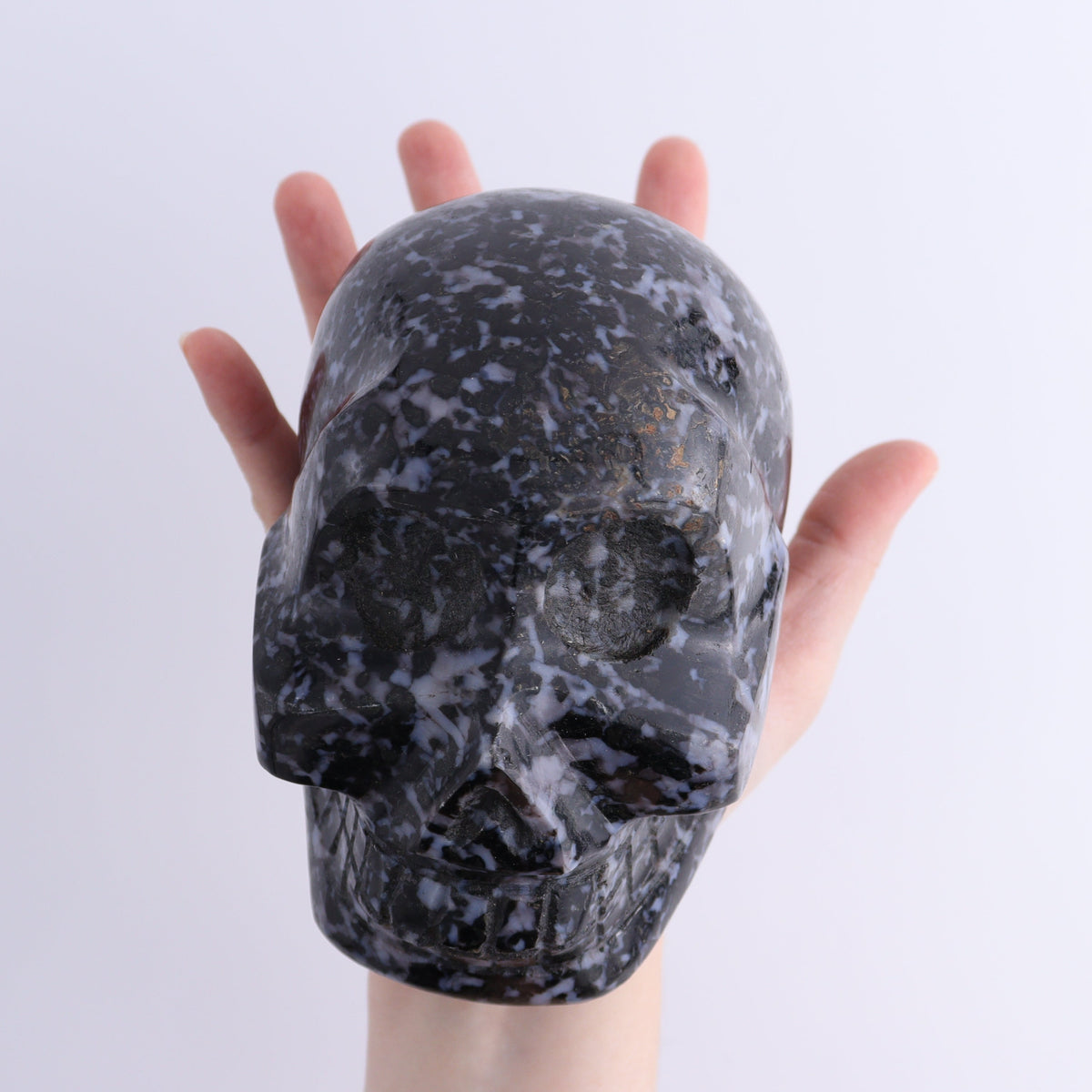 Indigo Gabbro Skull | Mi Esperanza Minerals | Supplier of Crystals and Onyx