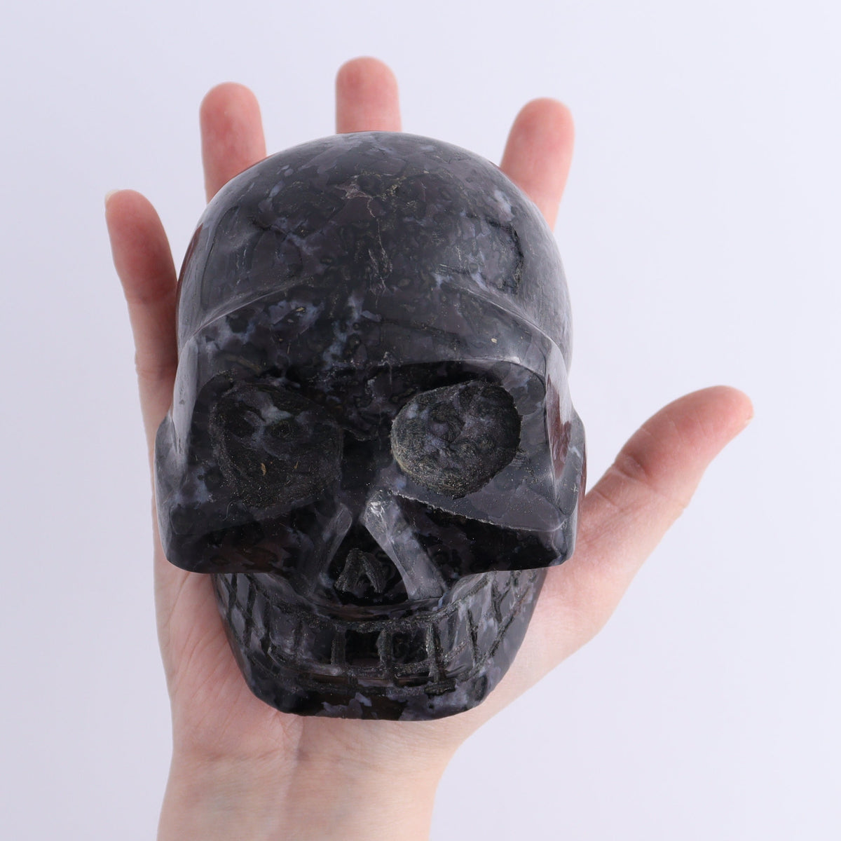 Indigo Gabbro Skulls Set of 2 | Mi Esperanza Minerals | Supplier of Crystals and Onyx