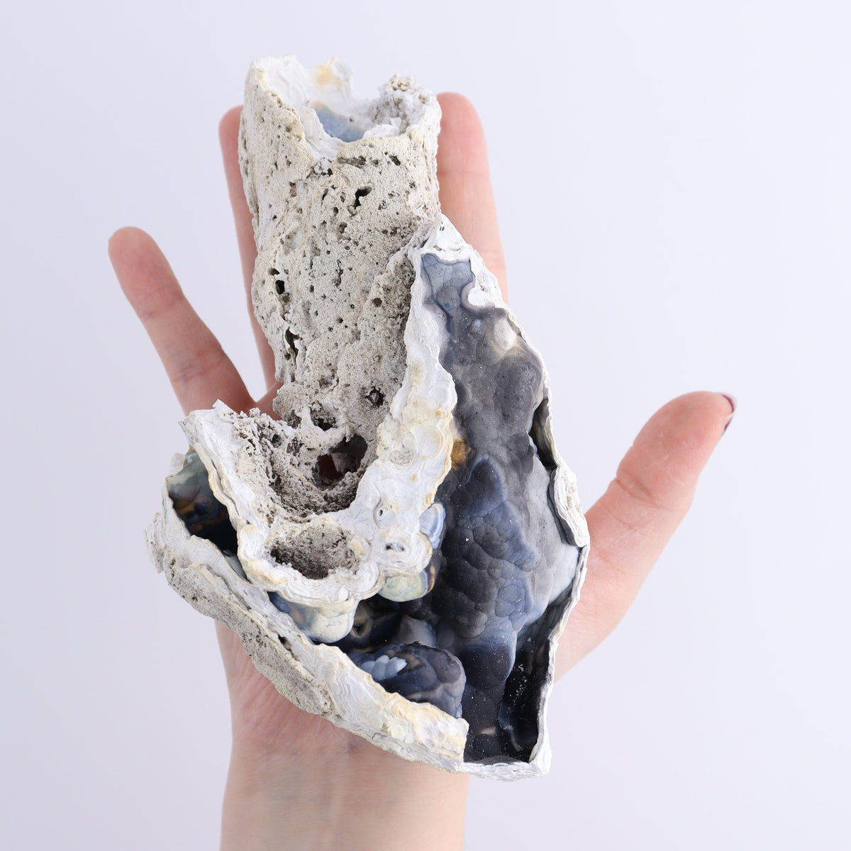 Agatized Coral Flat | Mi Esperanza Minerals | Supplier of Crystals and Onyx