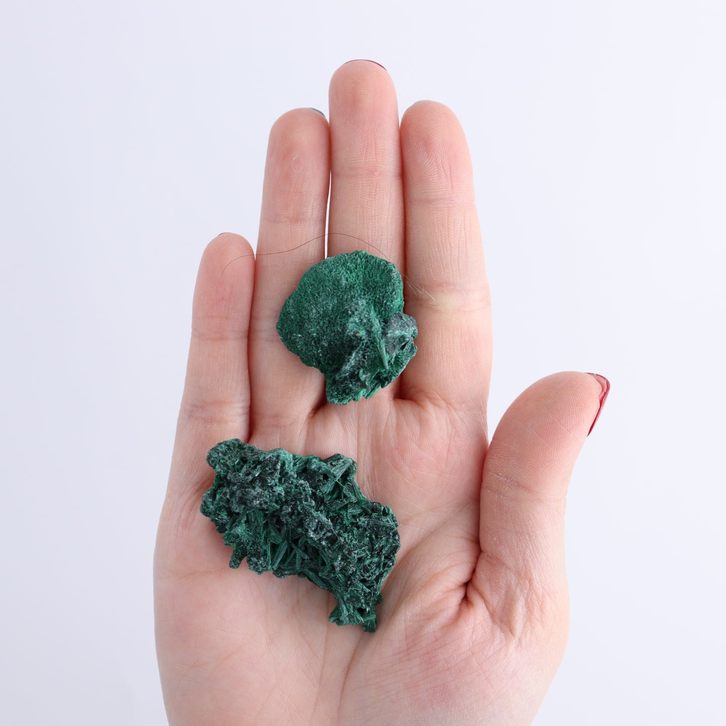 Fibrous Malachite Freeforms Set of 35 | Mi Esperanza Minerals | Supplier of Crystals and Onyx