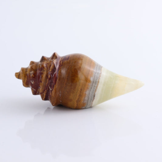 One Mexican Onyx/Calcite Shell Cut Base Green & Brown
