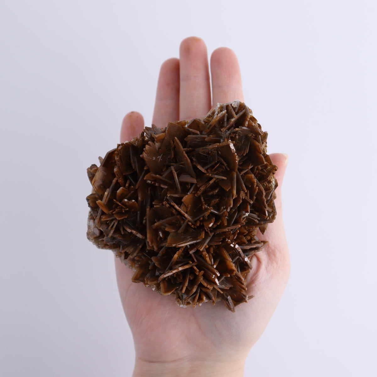 Brown Barite Flat from Morocco - wholesale crystals