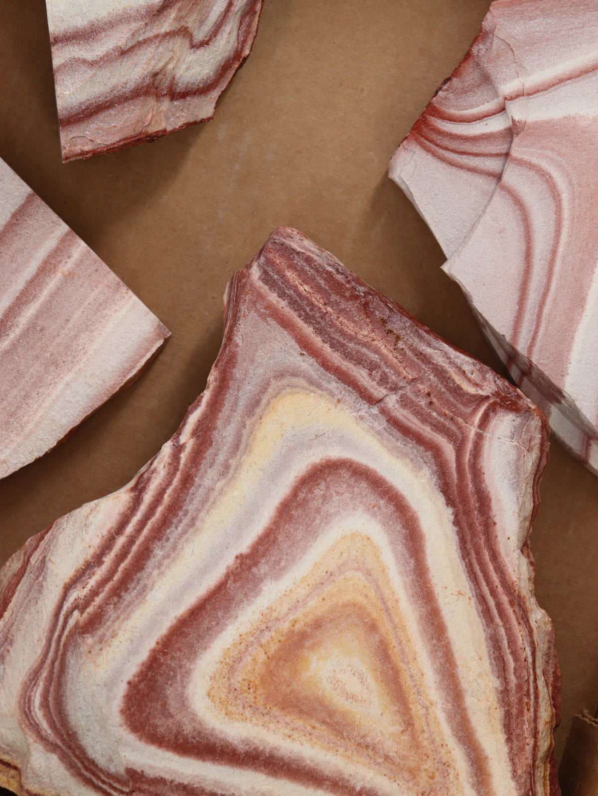 Rhyolite Slices and Slabs Set of 5 - wholesale crystals