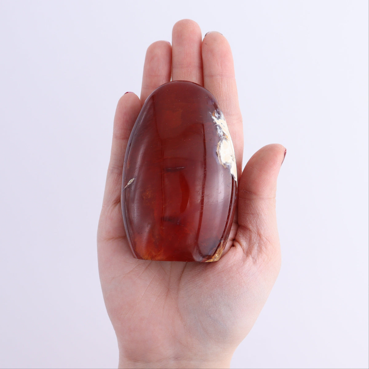 Carnelian Freeforms Set of 8 | Mi Esperanza Minerals | Supplier of Crystals and Onyx