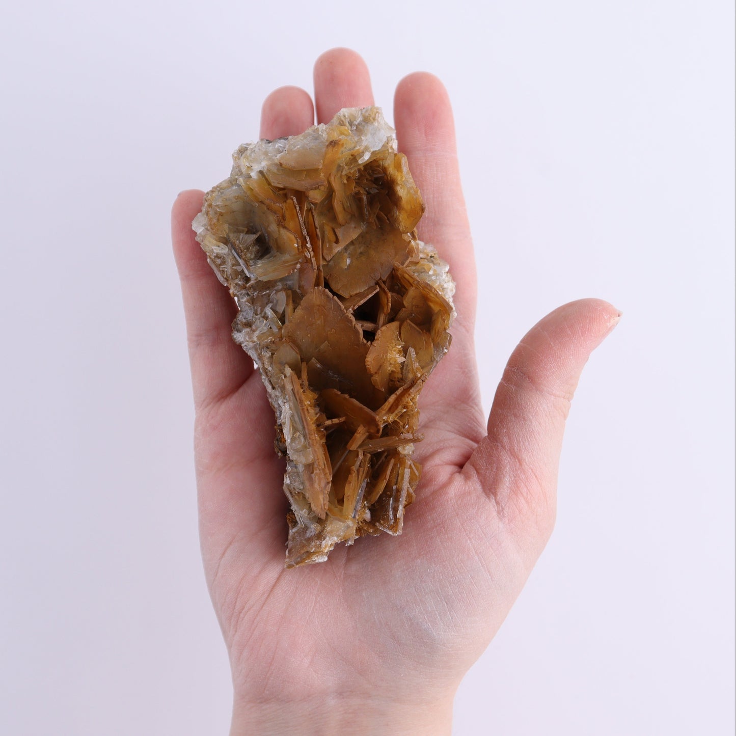 Brown Barite Flat from Morocco | Mi Esperanza Minerals | Supplier of Crystals and Onyx