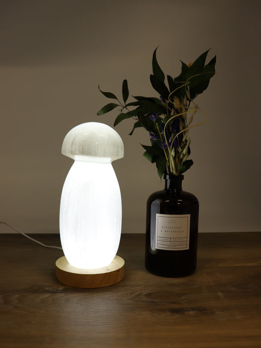 Mushroom Selenite Lamp - wholesale crystals