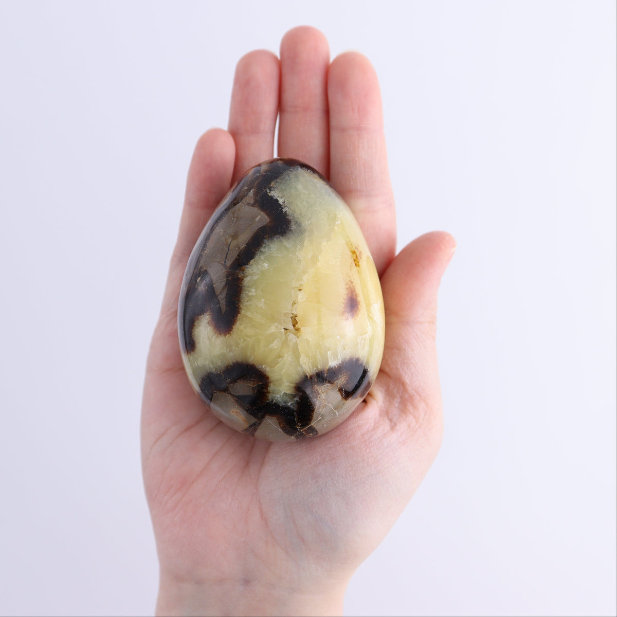 Septarian Eggs Set of 6 | Mi Esperanza Minerals | Supplier of Crystals and Onyx