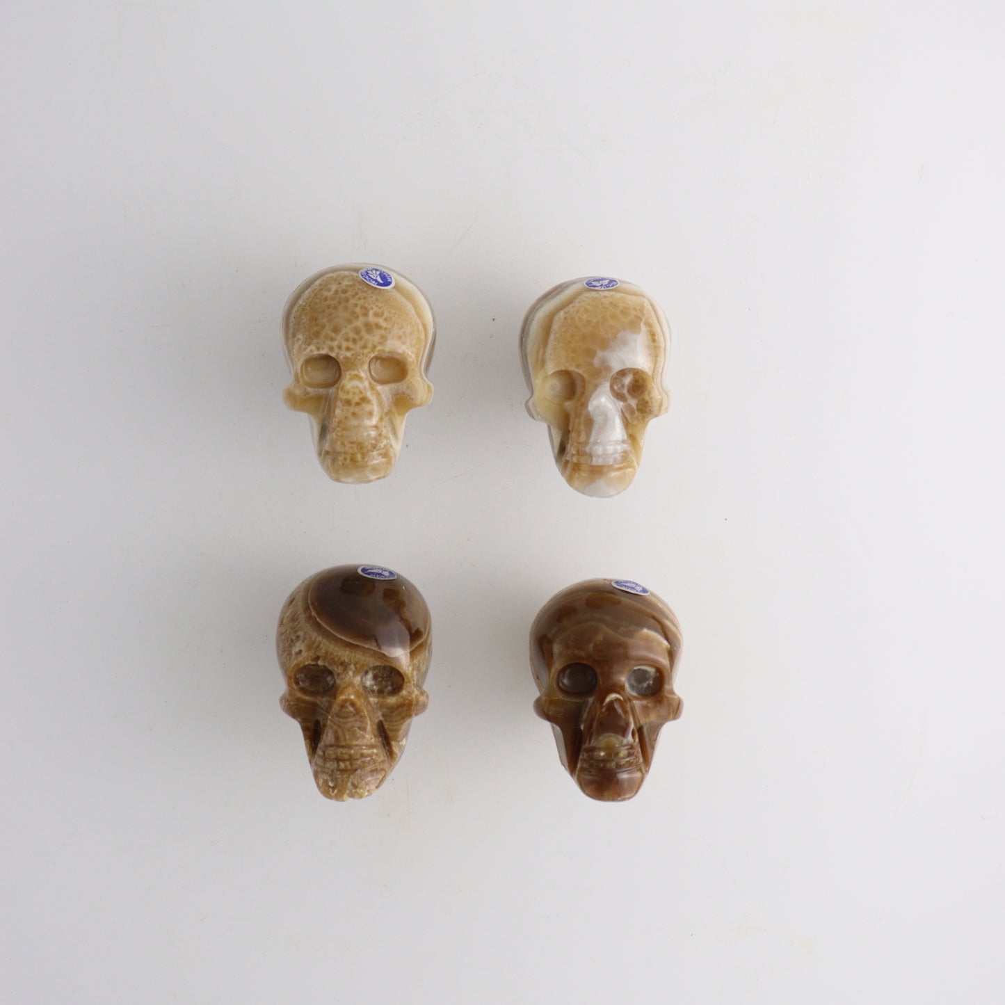 Onyx Skulls - Expert Supplier of Wholesale Crystals & Bulk Gemstones