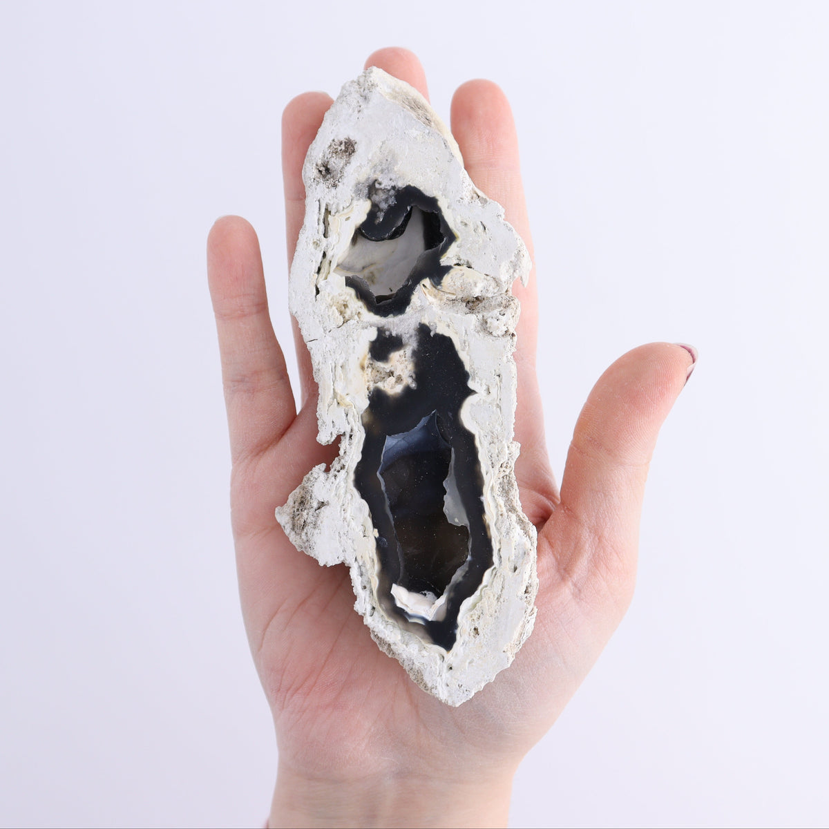 Agatized Coral Flat | Mi Esperanza Minerals | Supplier of Crystals and Onyx