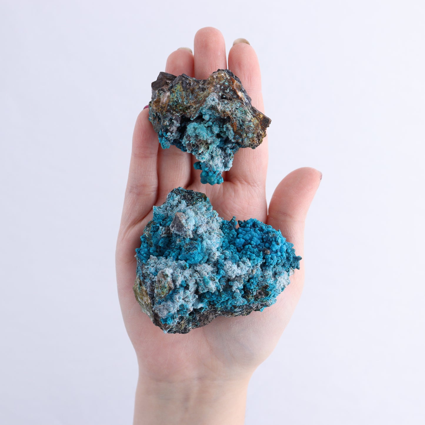 Chrysocolla on Quartz Roughs Set of 24 | Mi Esperanza Minerals | Supplier of Crystals and Onyx