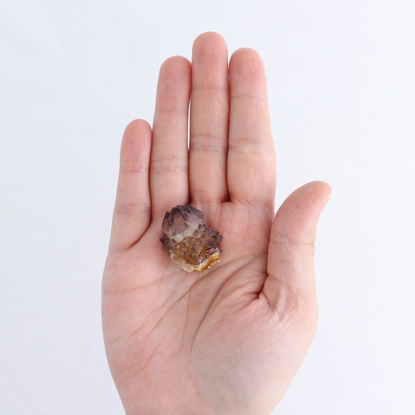 Cactus Quartz Set of 19