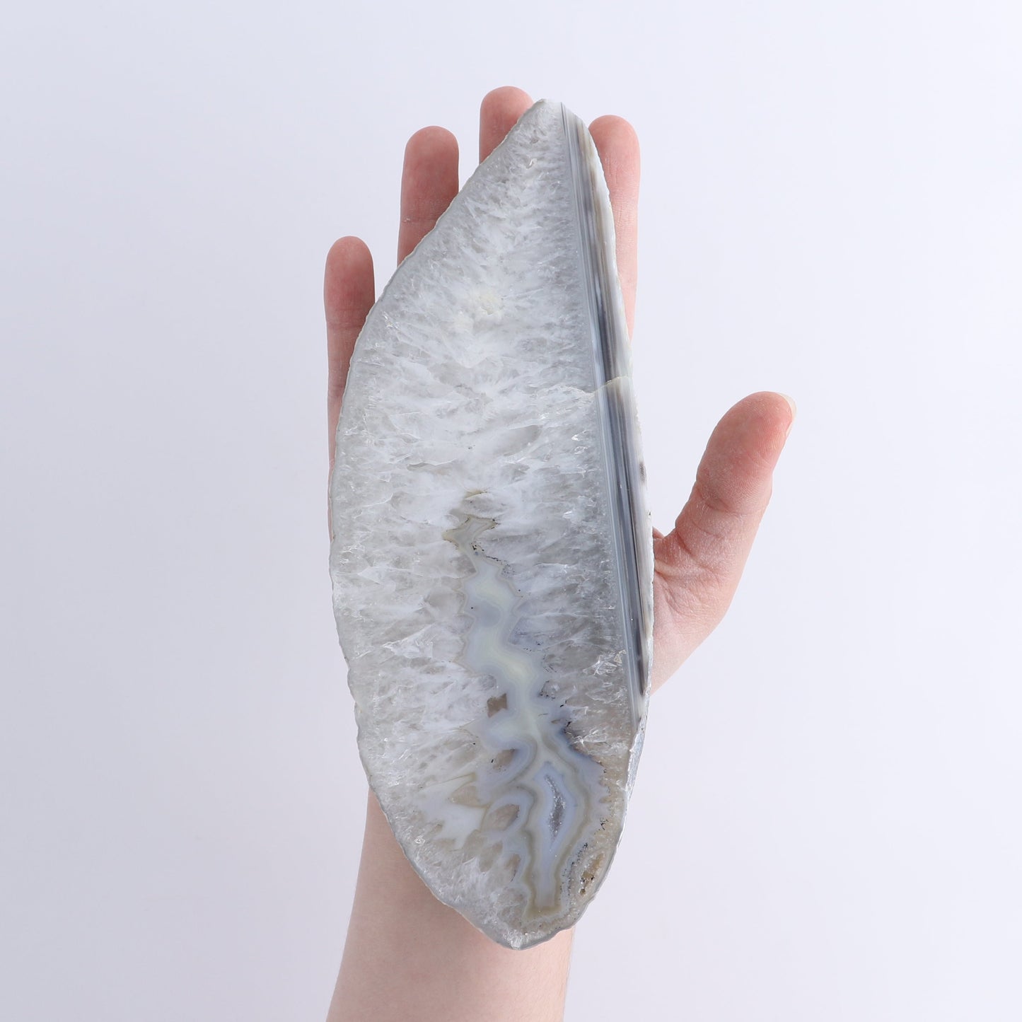 Agate Slices Set of 5 | Mi Esperanza Minerals | Supplier of Crystals and Onyx