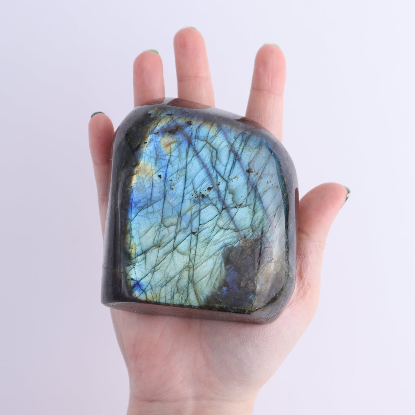 Labradorite Freeform Set of 7 | Mi Esperanza Minerals | Supplier of Crystals and Onyx