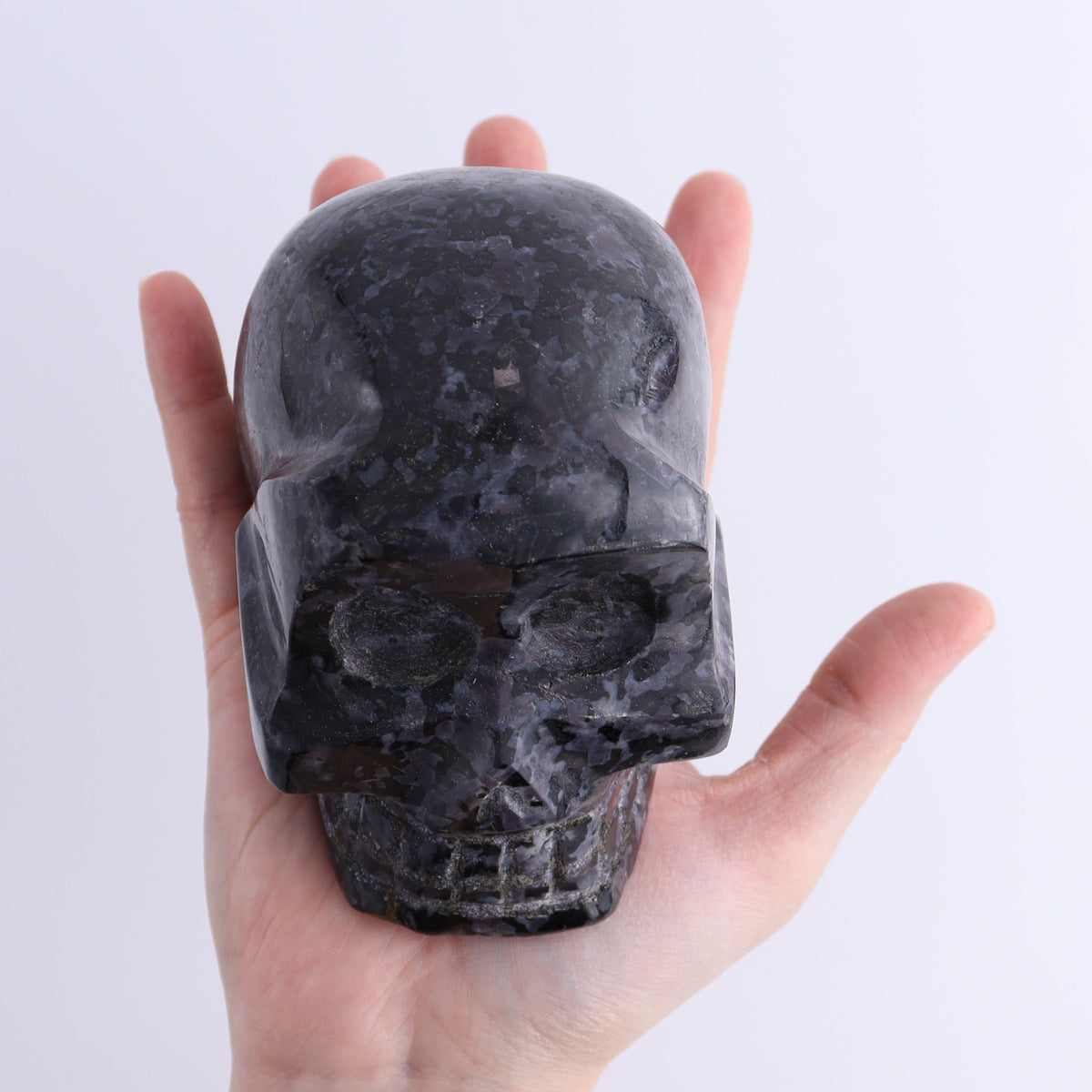 Indigo Gabbro Skulls Set of 2 | Mi Esperanza Minerals | Supplier of Crystals and Onyx