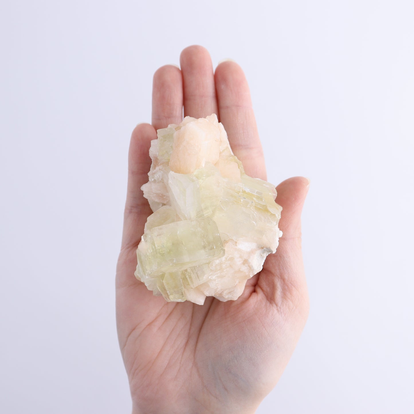 Apophyllite Clusters Flat of 12