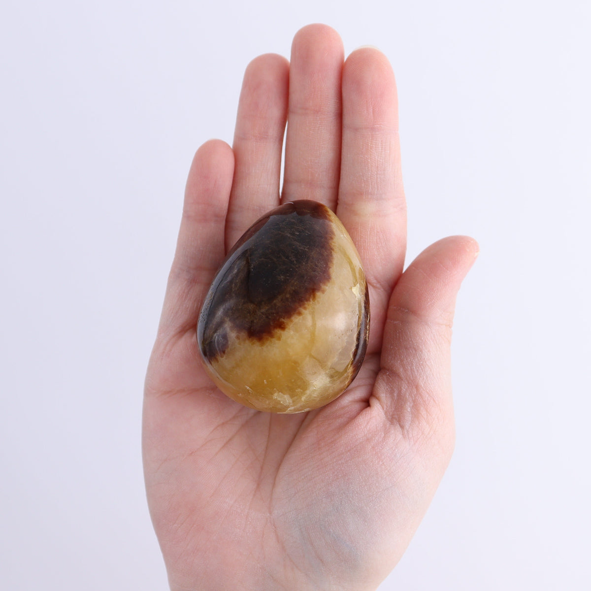 Septarian Eggs Set of 6 | Mi Esperanza Minerals | Supplier of Crystals and Onyx