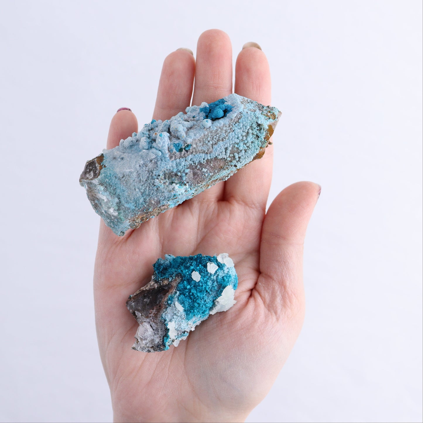 Chrysocolla on Quartz Roughs Set of 24 | Mi Esperanza Minerals | Supplier of Crystals and Onyx