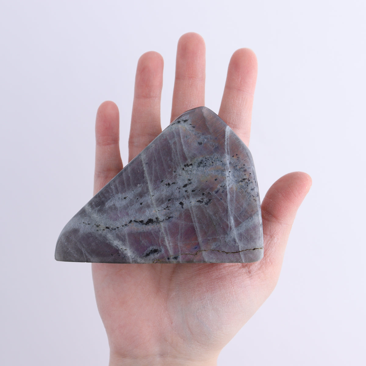Labradorite Freeform Set of 4 | Mi Esperanza Minerals | Supplier of Crystals and Onyx