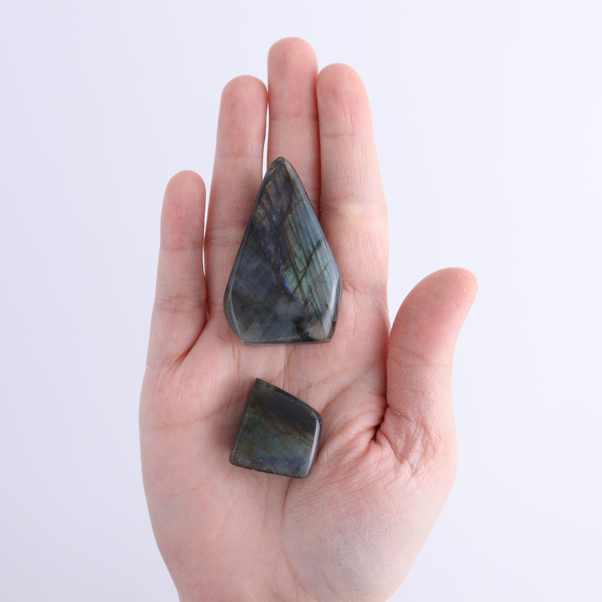 Labradorite Freeform Set of 20 | Mi Esperanza Minerals | Supplier of Crystals and Onyx