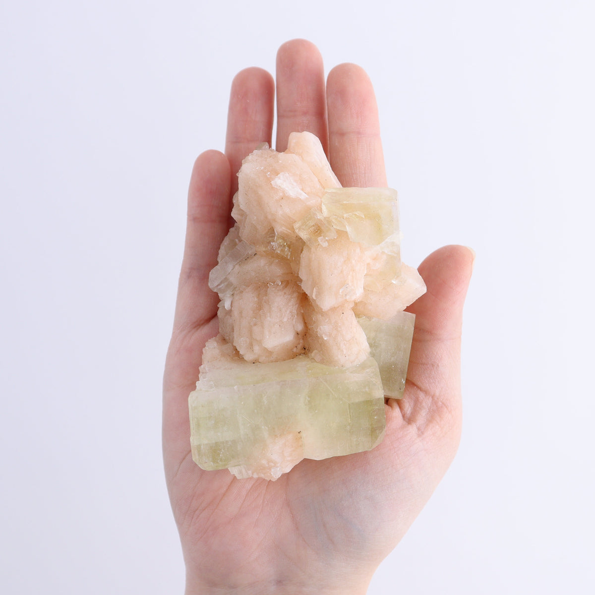 Apophyllite Clusters Flat of 6 | Mi Esperanza Minerals | Supplier of Crystals and Onyx