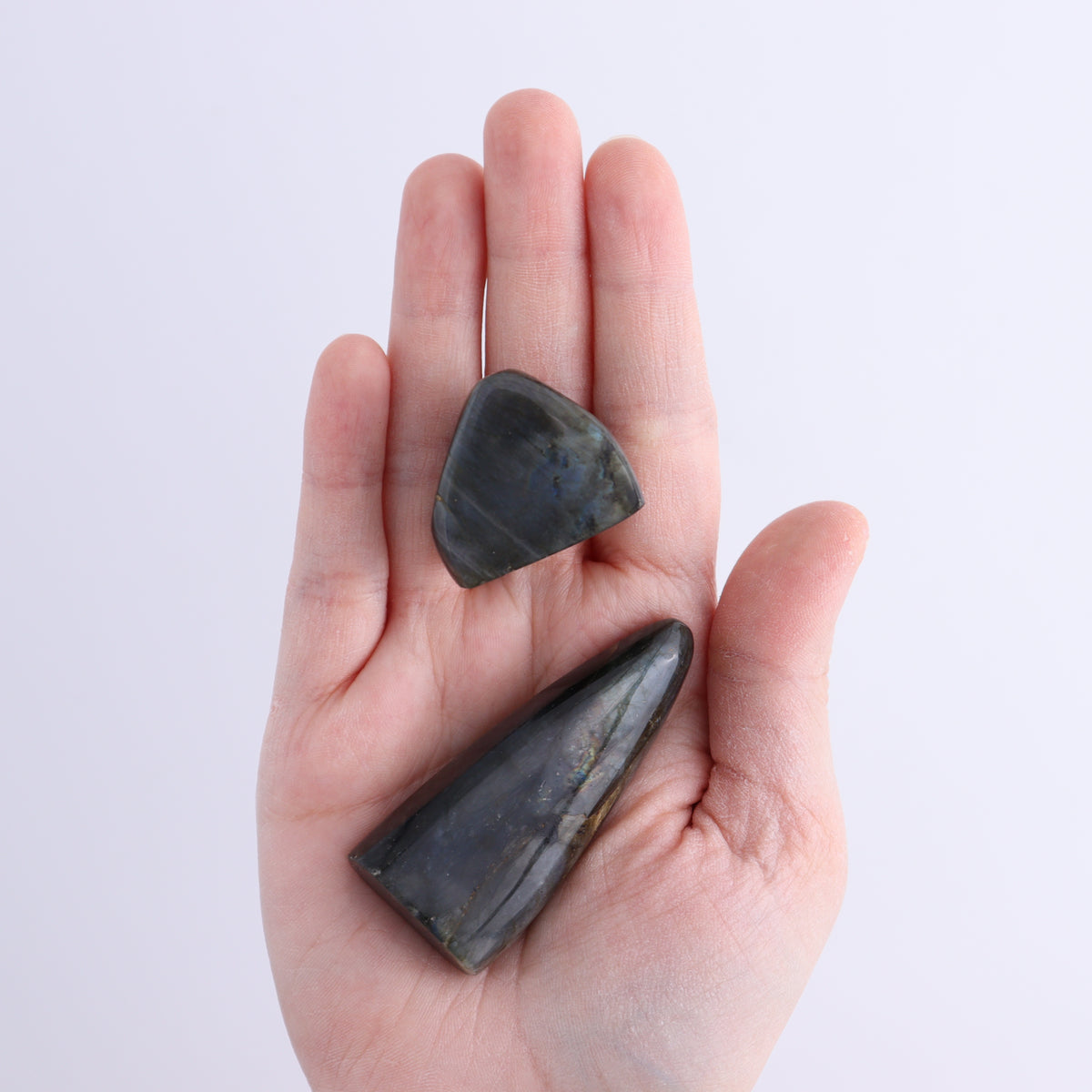 Labradorite Freeform Set of 20 | Mi Esperanza Minerals | Supplier of Crystals and Onyx