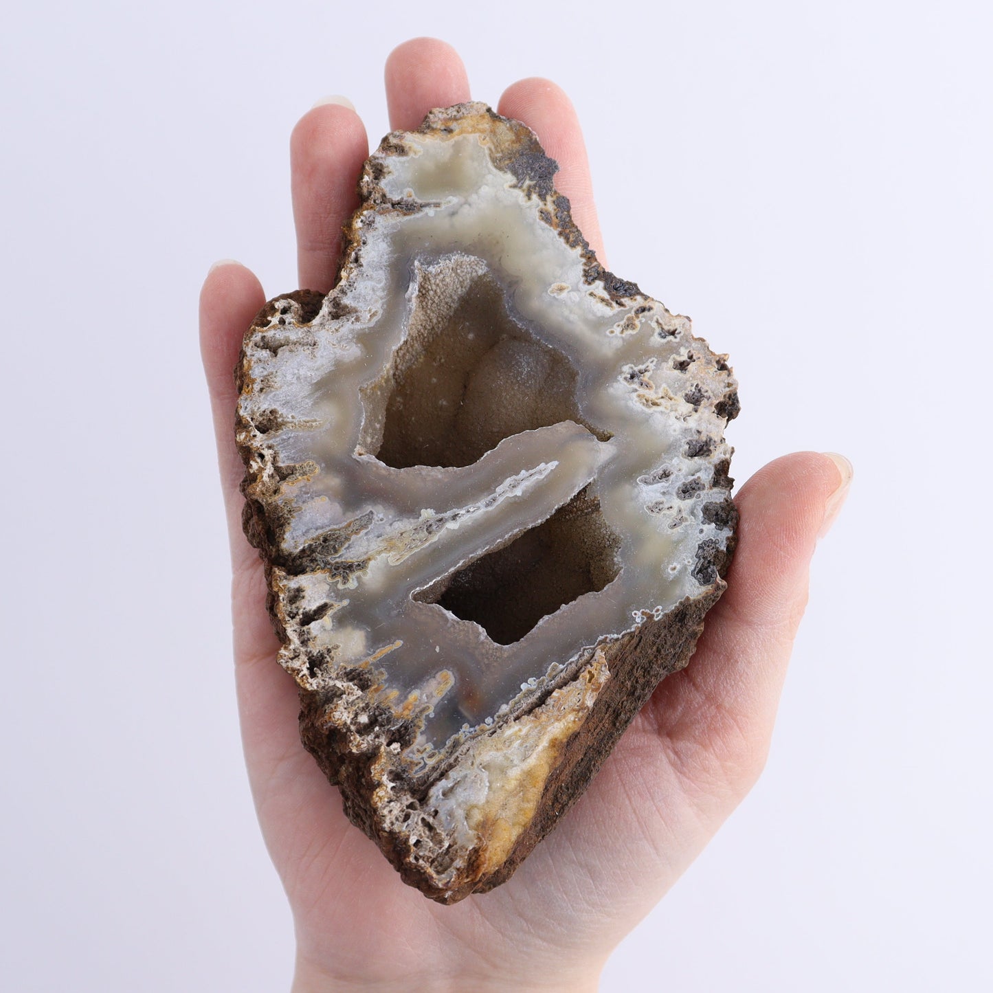 Agatized Coral Flat | Mi Esperanza Minerals | Supplier of Crystals and Onyx