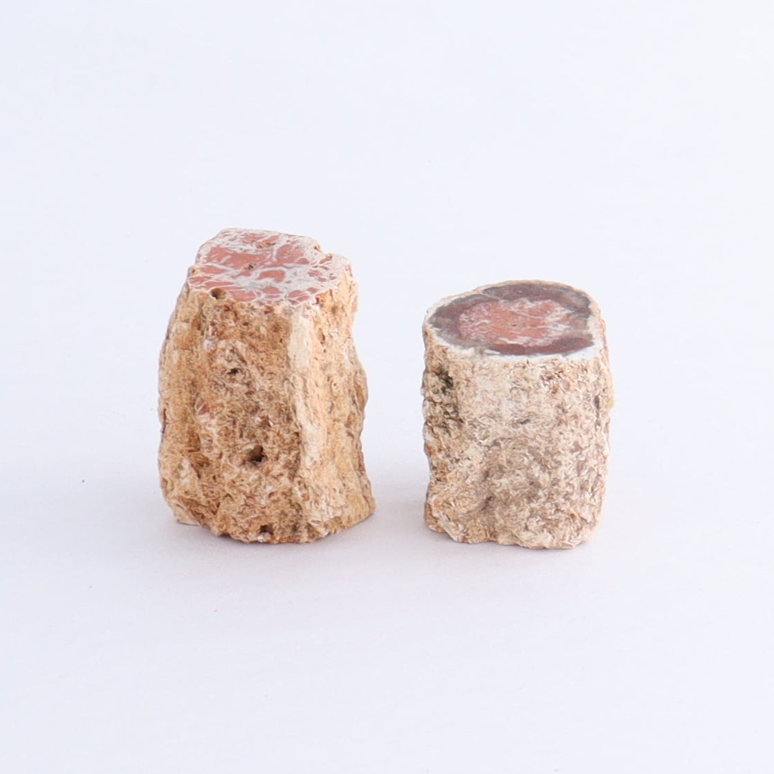 Petrified Wood Cut Bases Set of 10 | Mi Esperanza Minerals | Supplier of Crystals and Onyx
