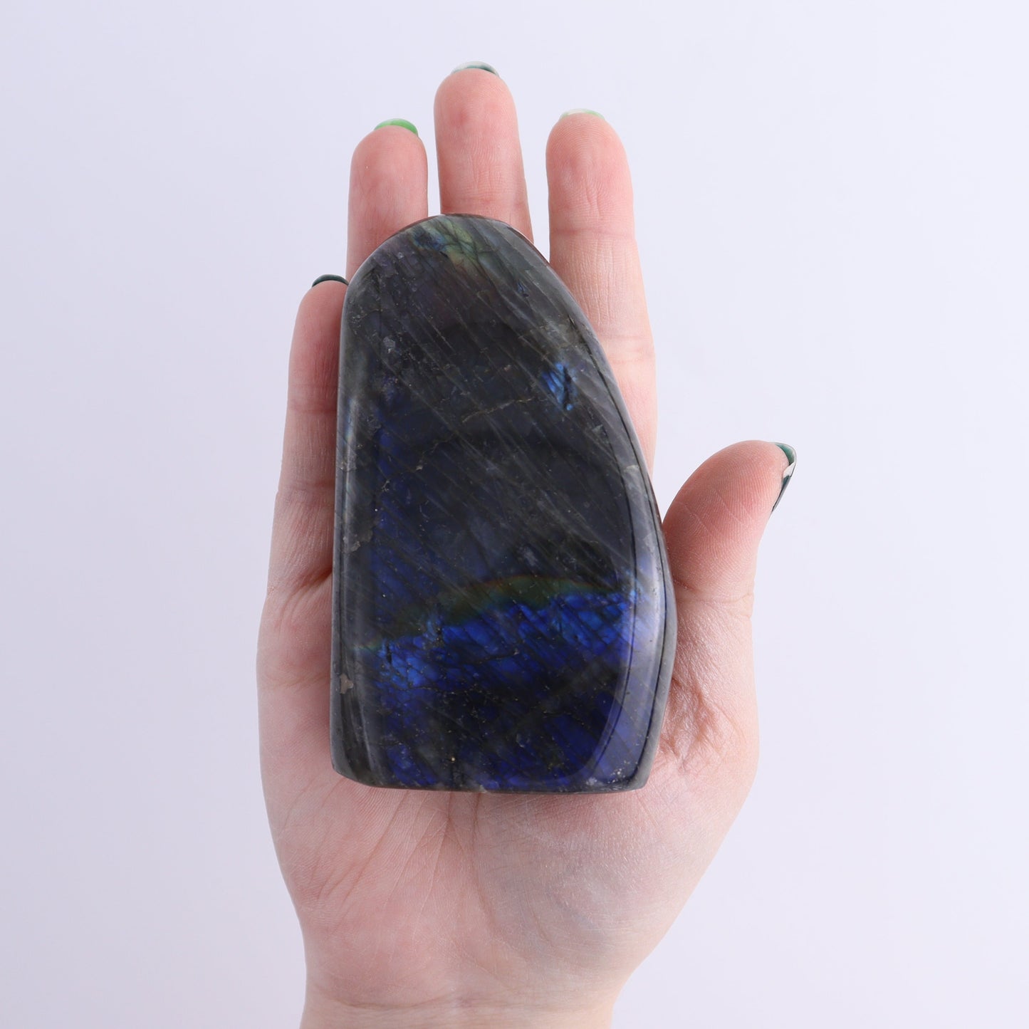 Labradorite Freeform Set of 7 | Mi Esperanza Minerals | Supplier of Crystals and Onyx