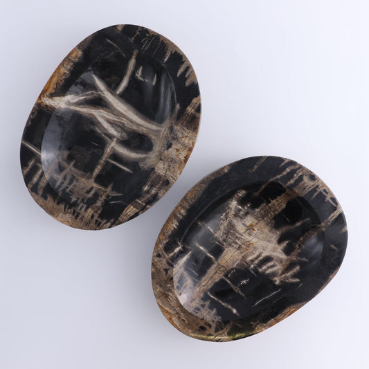 One Petrified Wood Black Polished Bowl