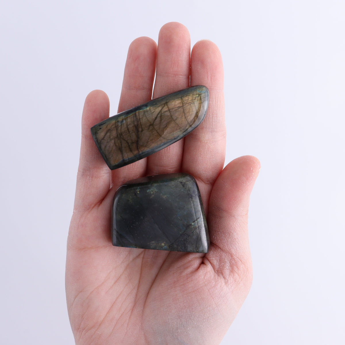 Labradorite Freeform Set of 20 | Mi Esperanza Minerals | Supplier of Crystals and Onyx