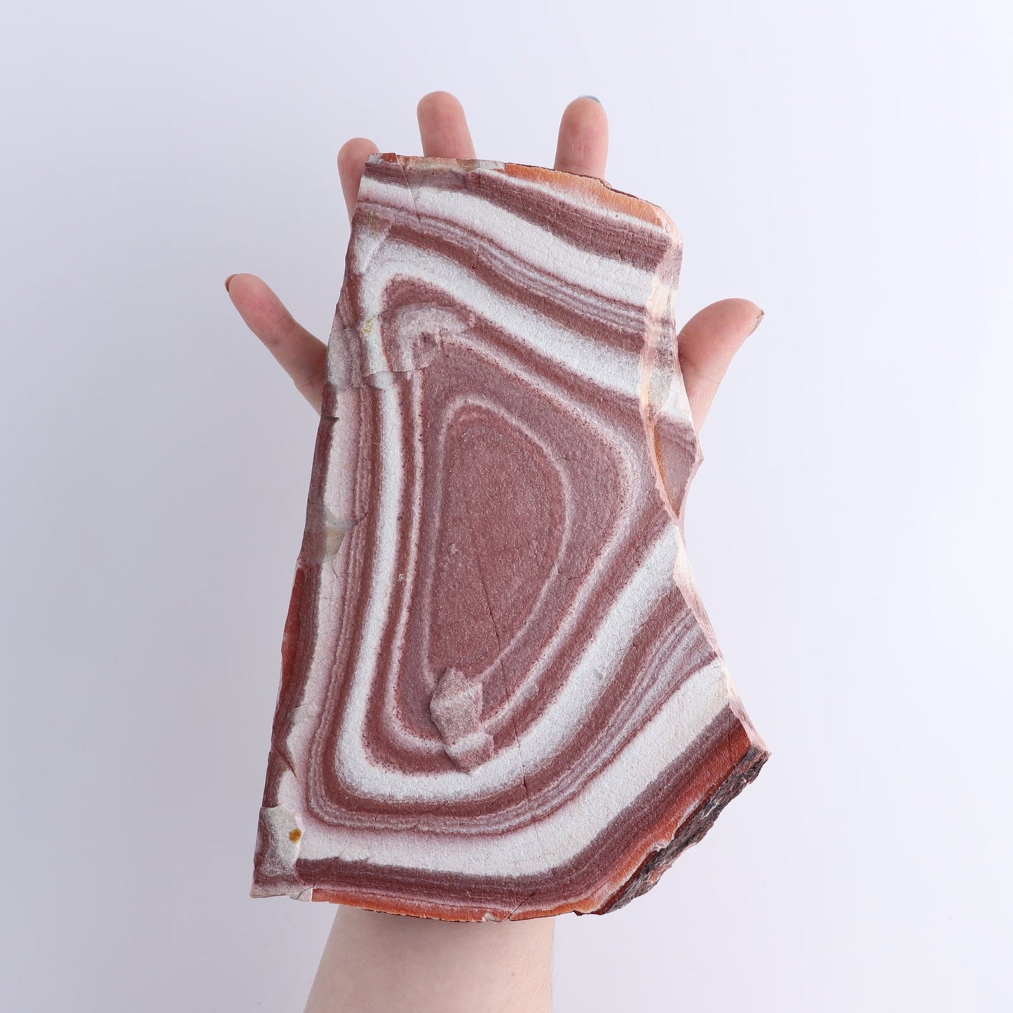 Rhyolite Slabs Set of 2
