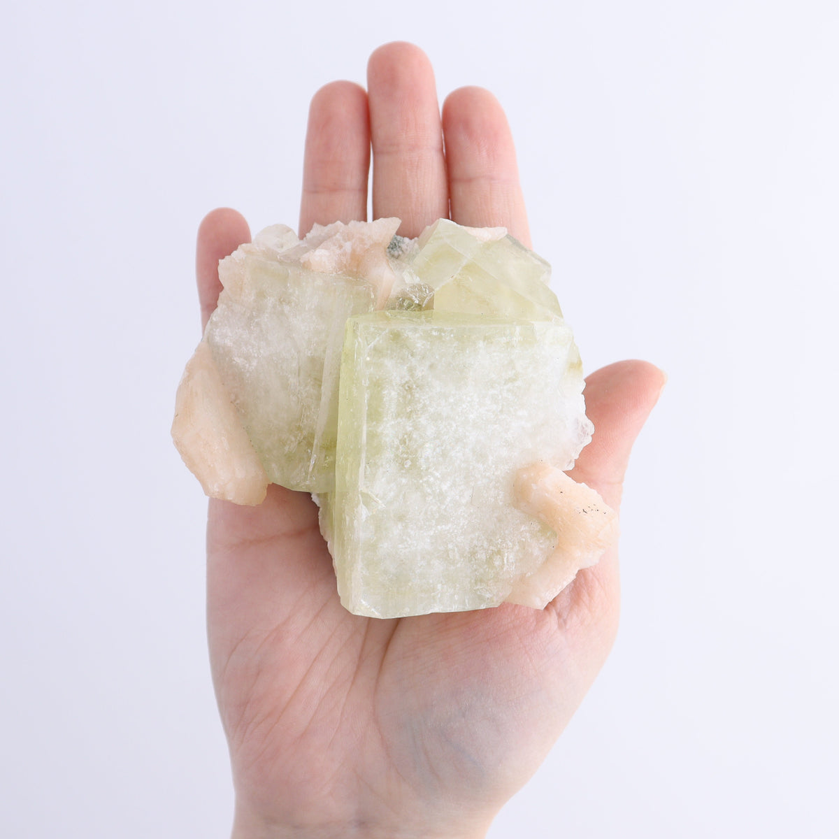 Apophyllite Clusters Flat of 6 | Mi Esperanza Minerals | Supplier of Crystals and Onyx