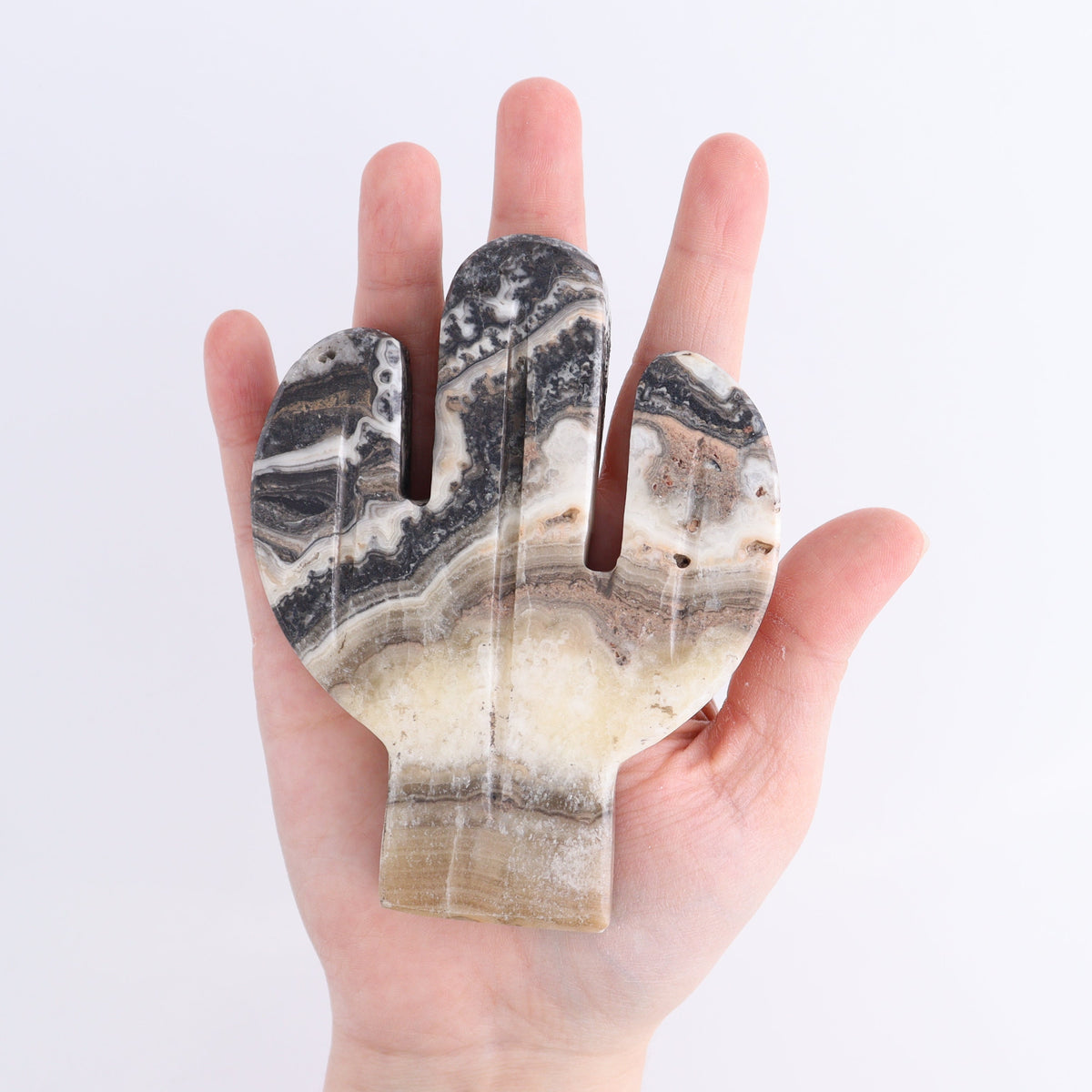 One Cactus Mexican Onyx/Calcite Black & Pink 12 cm | Mi Esperanza Minerals | Supplier of Crystals and Onyx