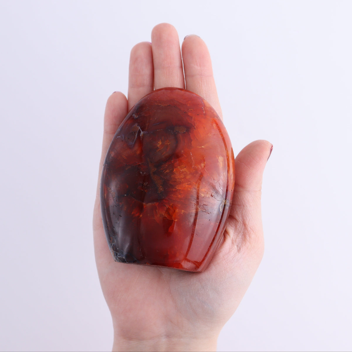 Carnelian Freeforms Set of 8 | Mi Esperanza Minerals | Supplier of Crystals and Onyx