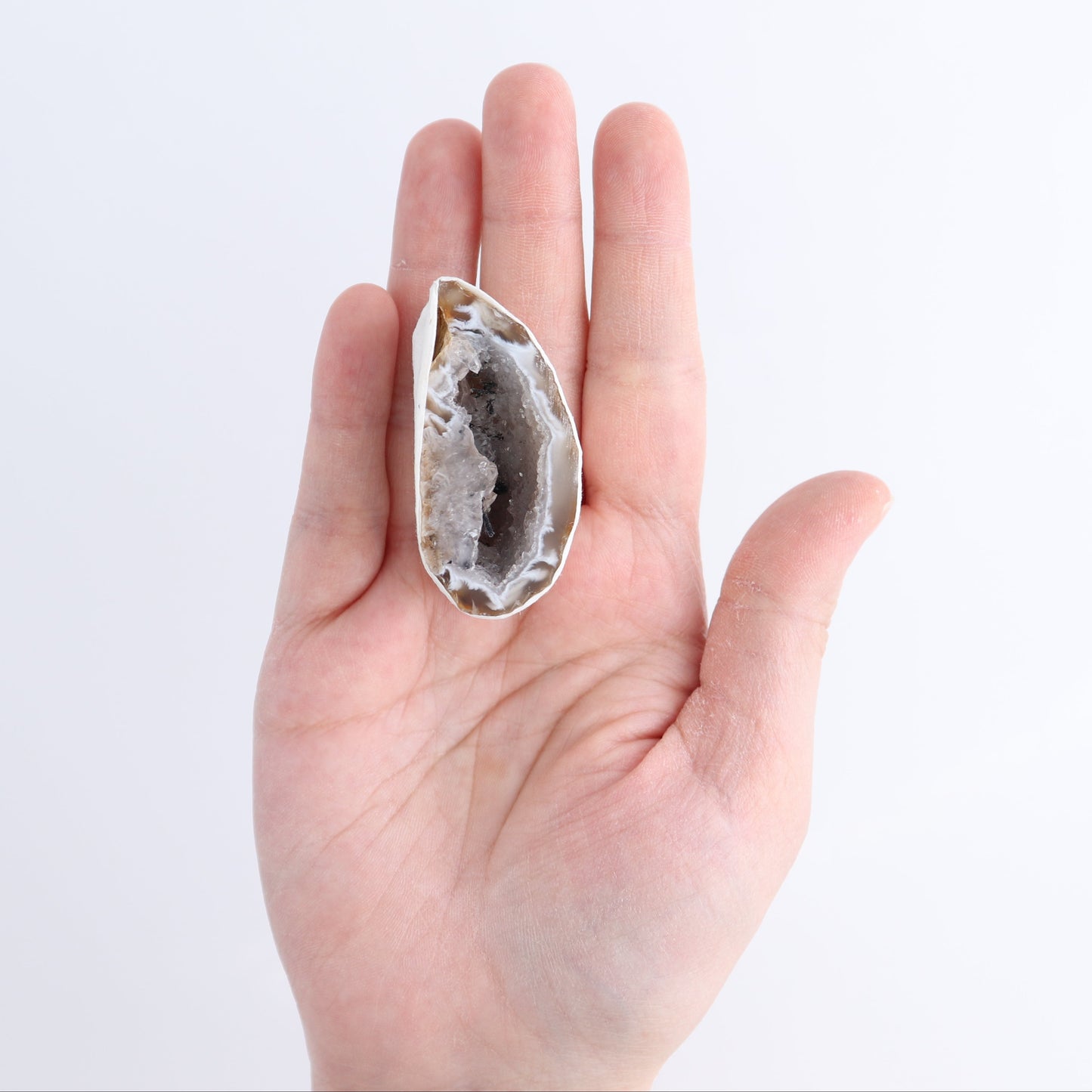 Agate Geodes Flat | Mi Esperanza Minerals | Supplier of Crystals and Onyx
