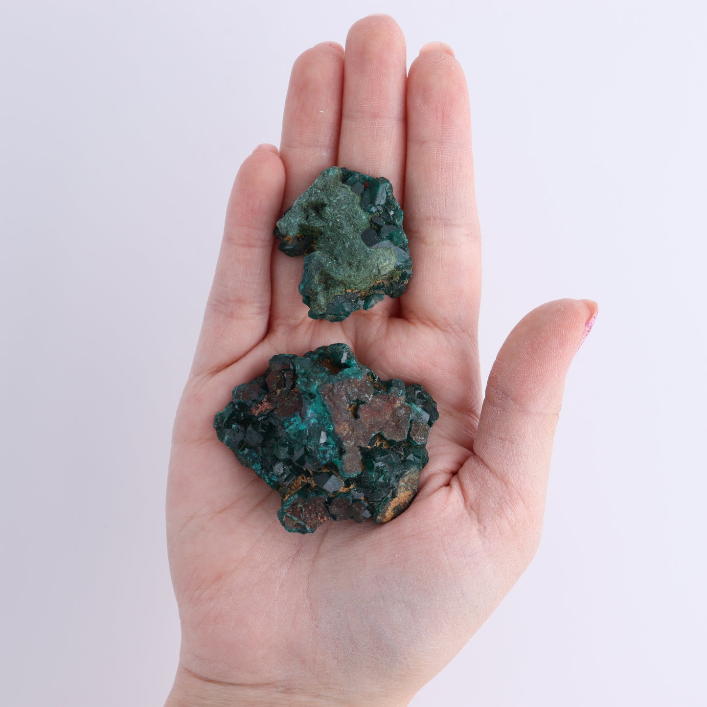 Dioptase Set of 12 | Mi Esperanza Minerals | Supplier of Crystals and Onyx