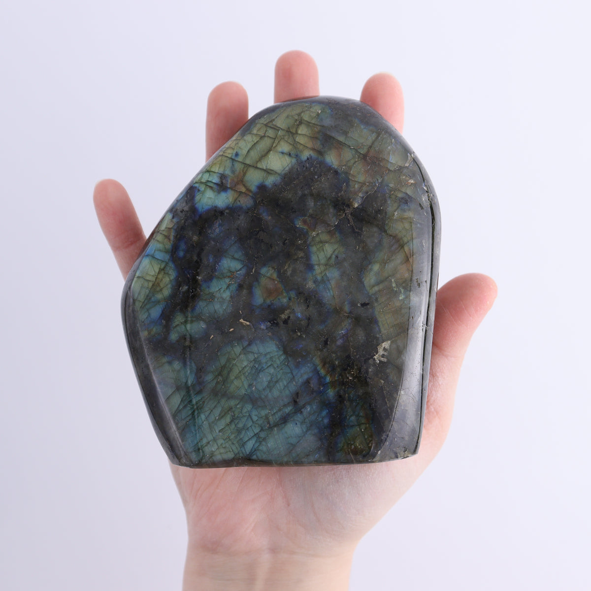 Labradorite Freeform Set of 6 | Mi Esperanza Minerals | Supplier of Crystals and Onyx