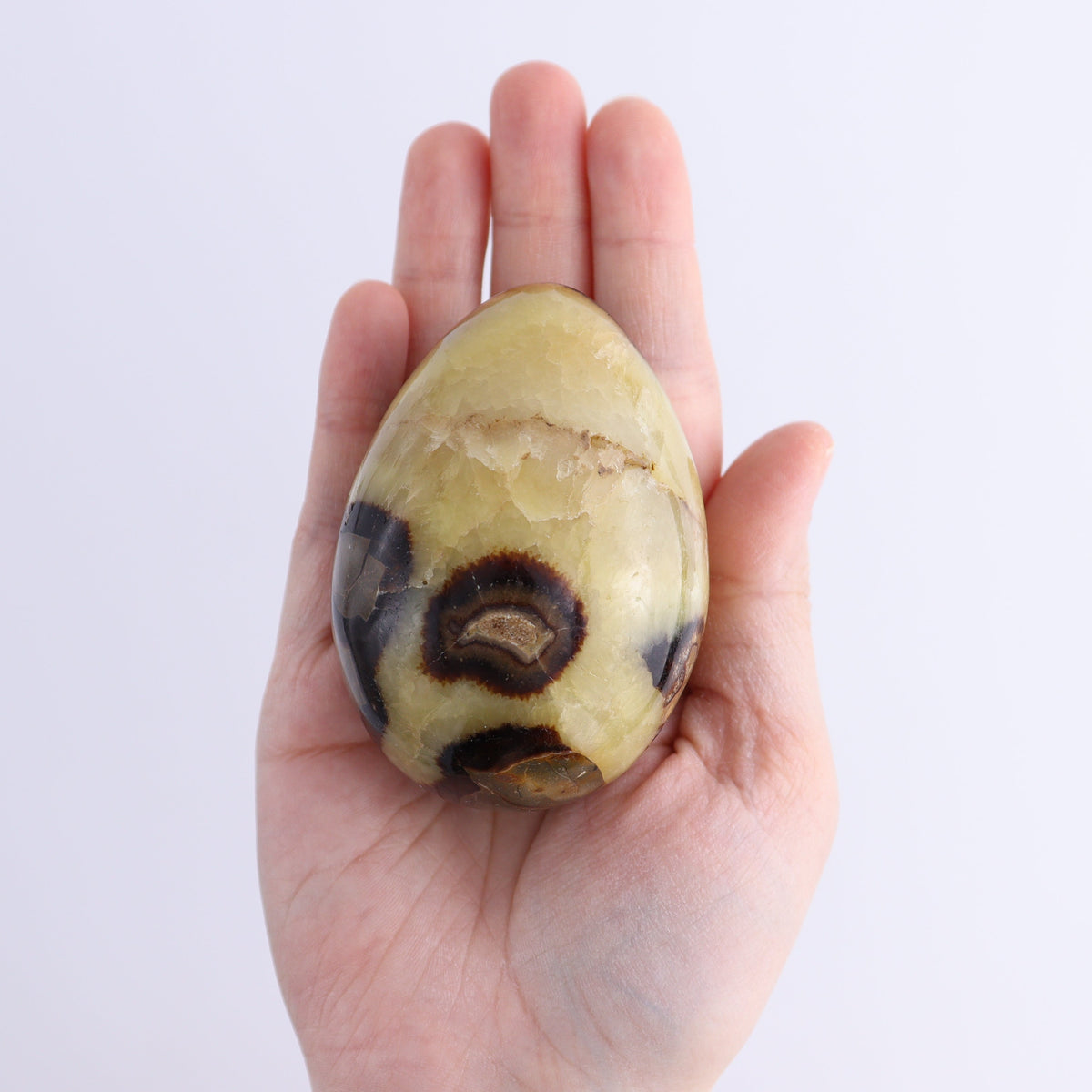 Septarian Eggs Set of 6 | Mi Esperanza Minerals | Supplier of Crystals and Onyx