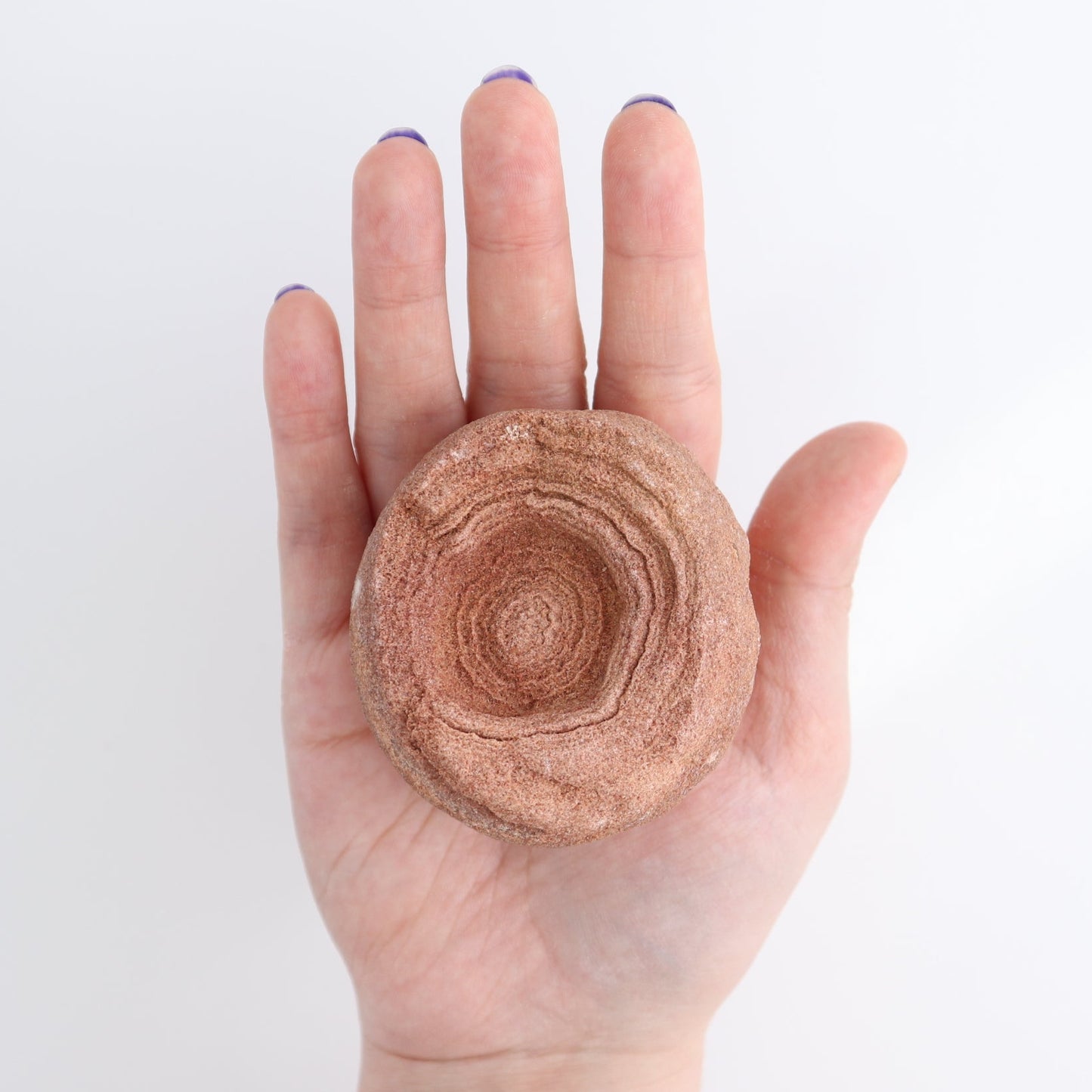 Stromatolite Freeforms Set 12