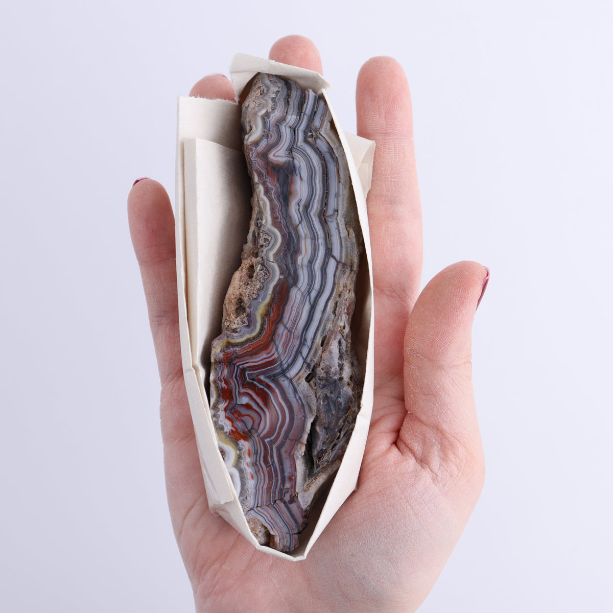 Crazy Lace Agate Flat of 12 | Mi Esperanza Minerals | Supplier of Crystals and Onyx