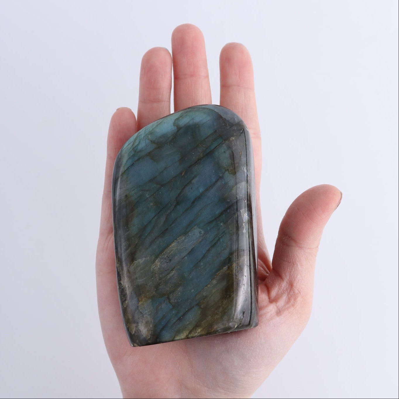 Labradorite Freeform Set of 7