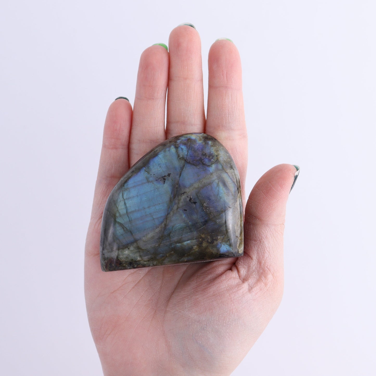 Labradorite Freeform Set of 7 | Mi Esperanza Minerals | Supplier of Crystals and Onyx