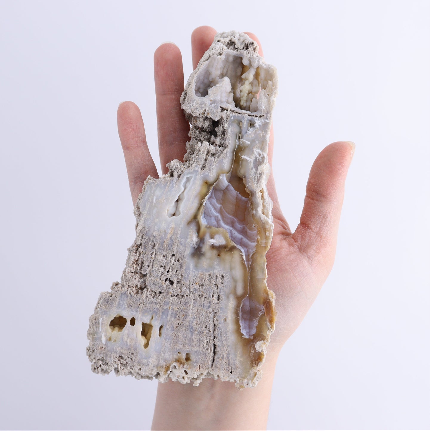 Agatized Coral Flat | Mi Esperanza Minerals | Supplier of Crystals and Onyx