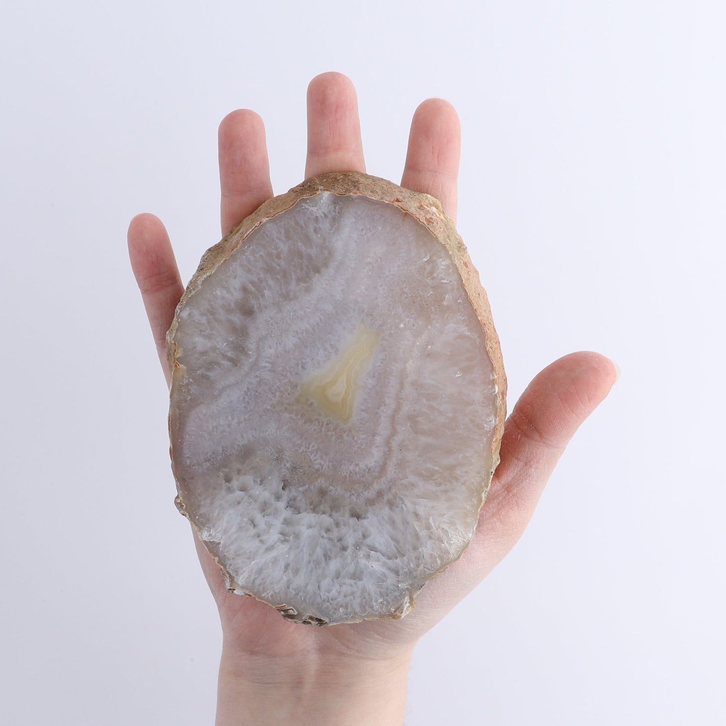 Agate Slices Set of 5 | Mi Esperanza Minerals | Supplier of Crystals and Onyx