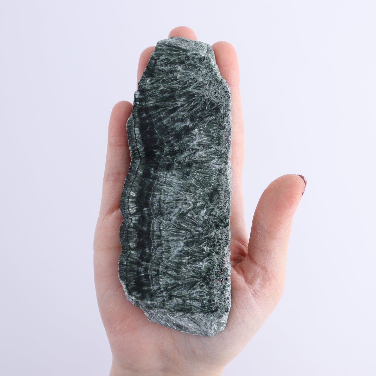 Seraphinite Slices Set of 4 | Mi Esperanza Minerals | Supplier of Crystals and Onyx