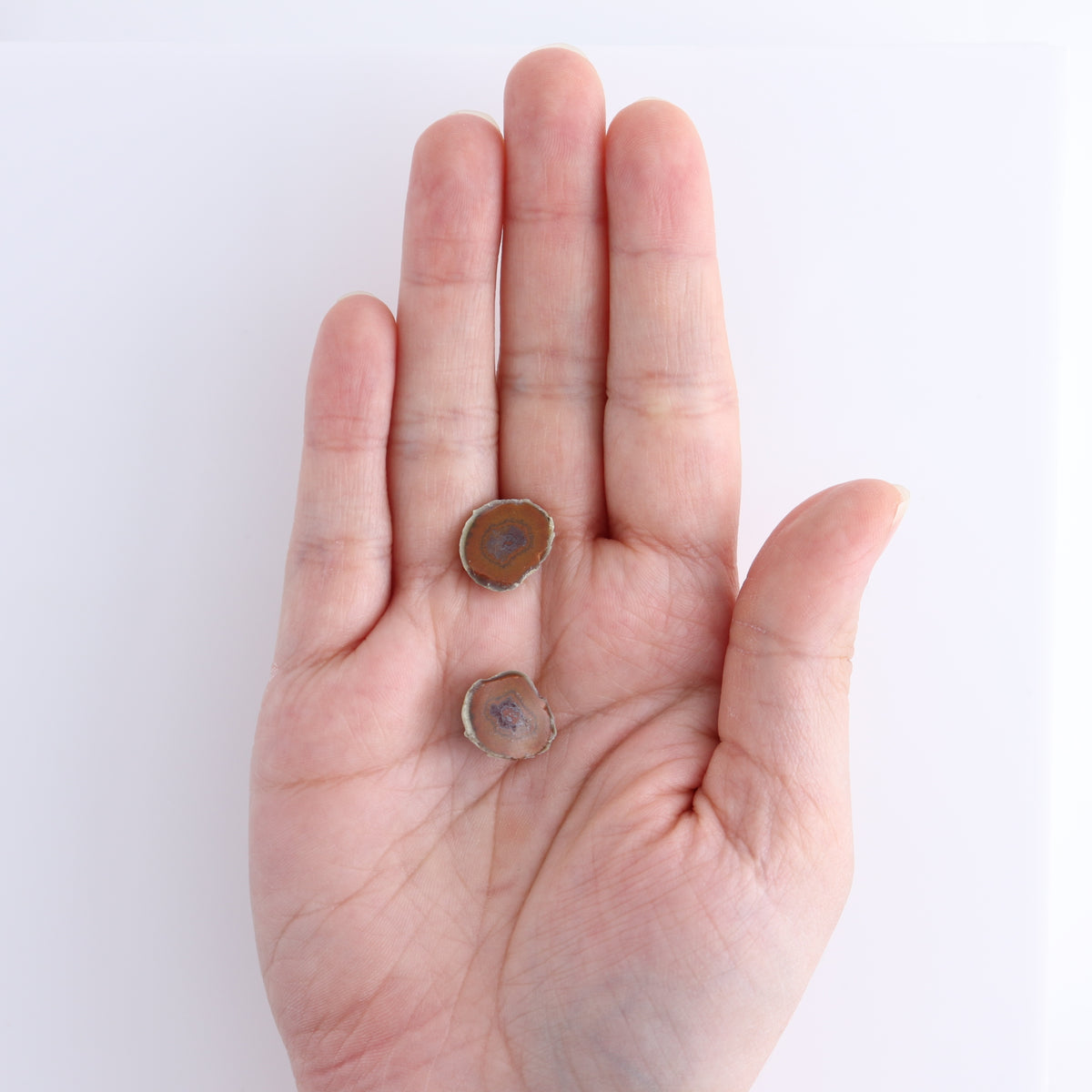 Tabasco Geodes 10 Pairs