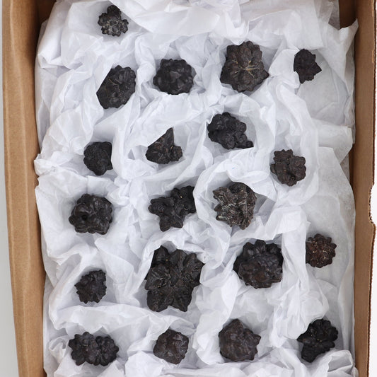 Egyptian Prophecy Stones Flat of 20